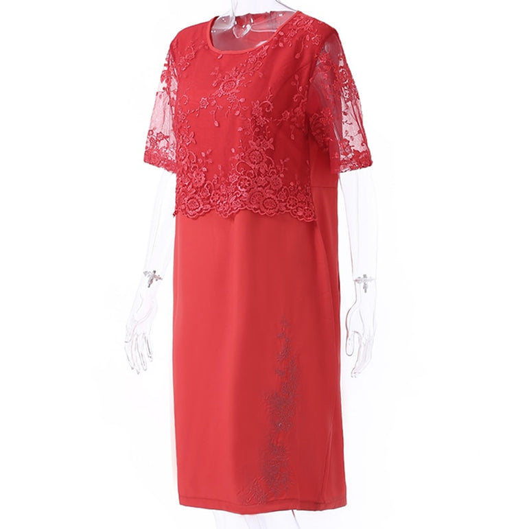 Elegant Lace Party Dress