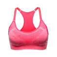 Push Up Seamless Padded Sports Bra