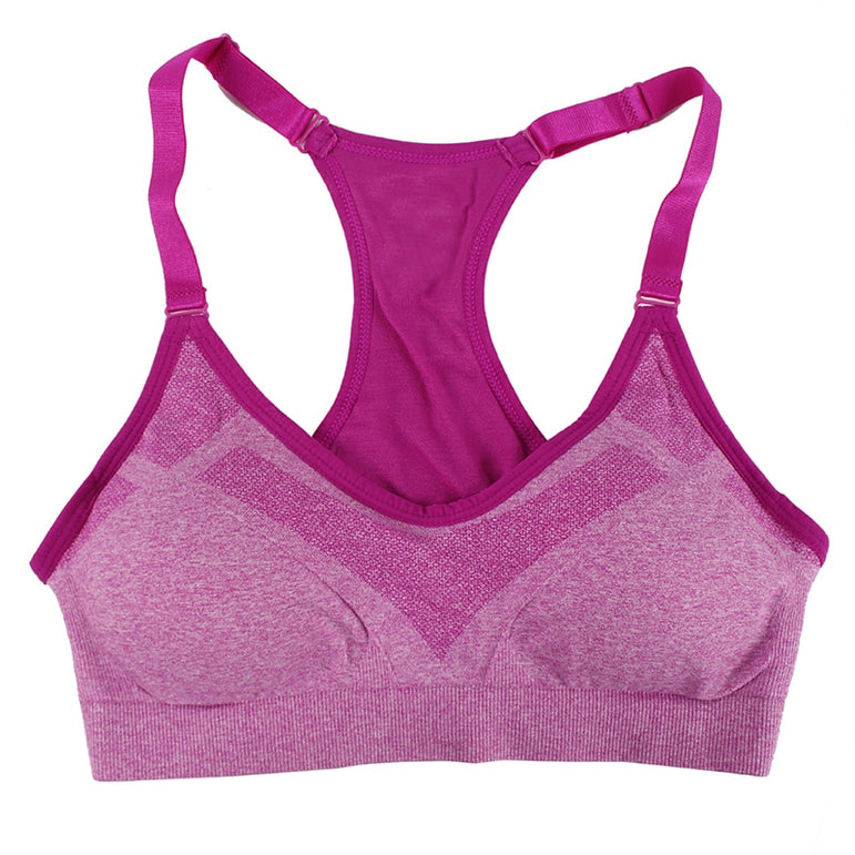 Push Up Seamless Padded Sports Bra