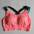 Push Up Seamless Padded Sports Bra