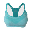 Push Up Seamless Padded Sports Bra