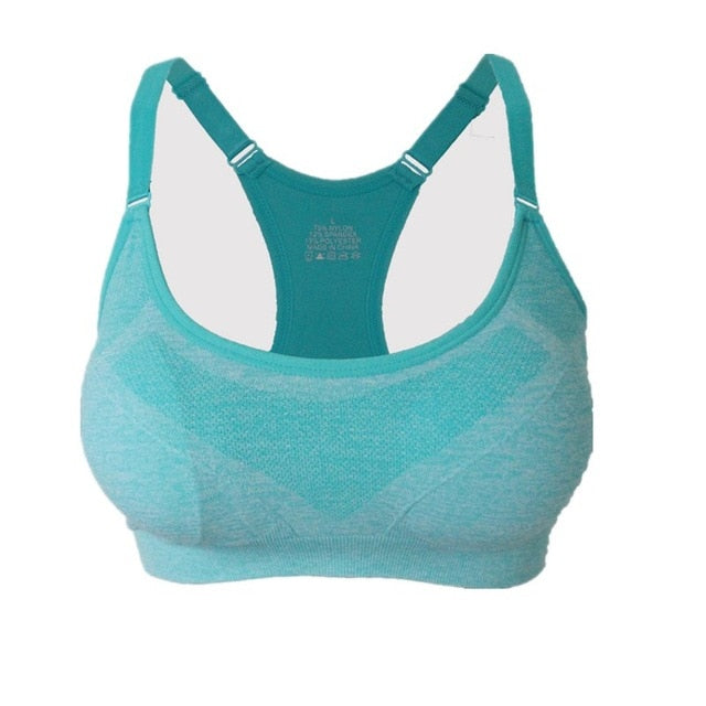 Push Up Seamless Padded Sports Bra