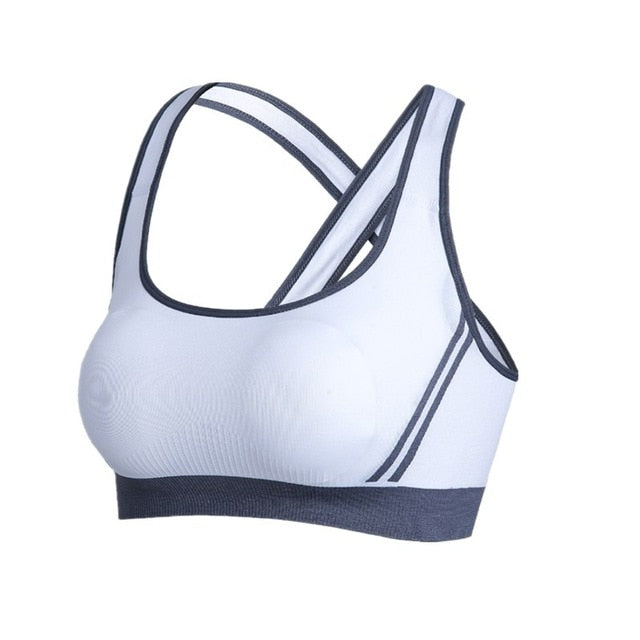 Push Up Seamless Padded Sports Bra