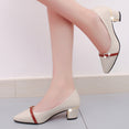 Pointed Shallow Women Pumps High Heels