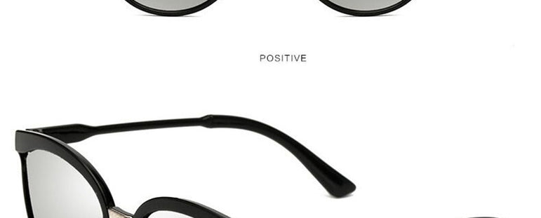 Luxury Plastic Cat Eye Sunglasses