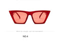 Luxury Plastic Vintage Classic Retro Sunglasses