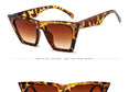 Luxury Plastic Vintage Classic Retro Sunglasses