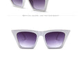 Luxury Plastic Vintage Classic Retro Sunglasses