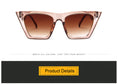 Luxury Plastic Vintage Classic Retro Sunglasses