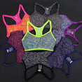 Straps Padded Top Seamless Fitness Yoga Sports Bra