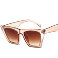 Luxury Plastic Vintage Classic Retro Sunglasses