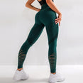 Seamless Athletic Stretchy Fitness Women Yoga Pants