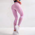 Seamless Athletic Stretchy Fitness Women Yoga Pants